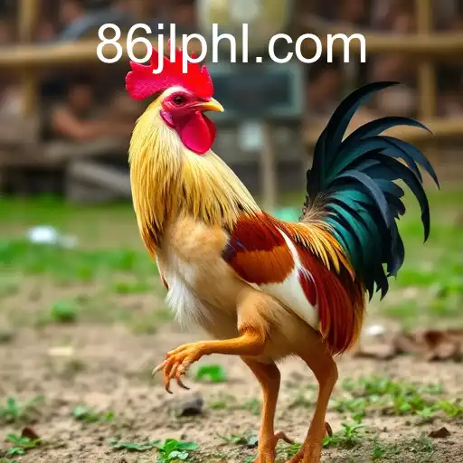 VIP Service 86JL.COM - 24/7 Support and Exclusive Benefits